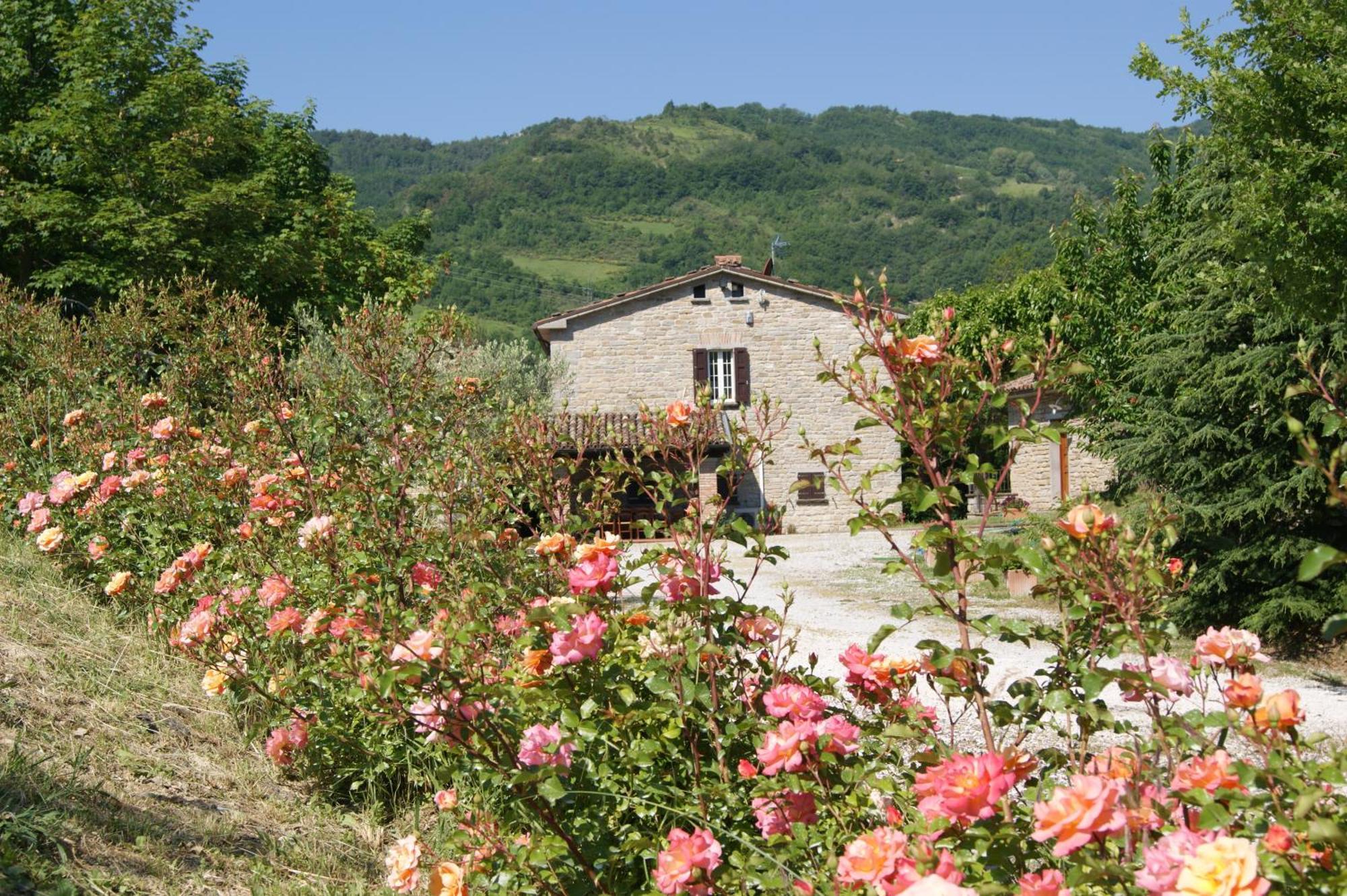 Agriturismo Corte Dei Mori Brisighella Εξωτερικό φωτογραφία
